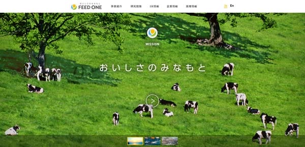 フィード・ワン