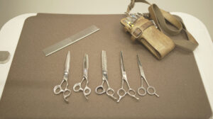 AHB_トリミングはさみ