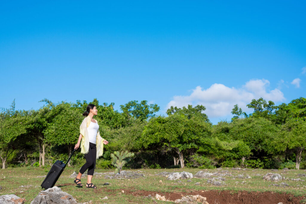 転職して居住を移転する女性、もしくはブレジャーやワーケーションを実施する従業員