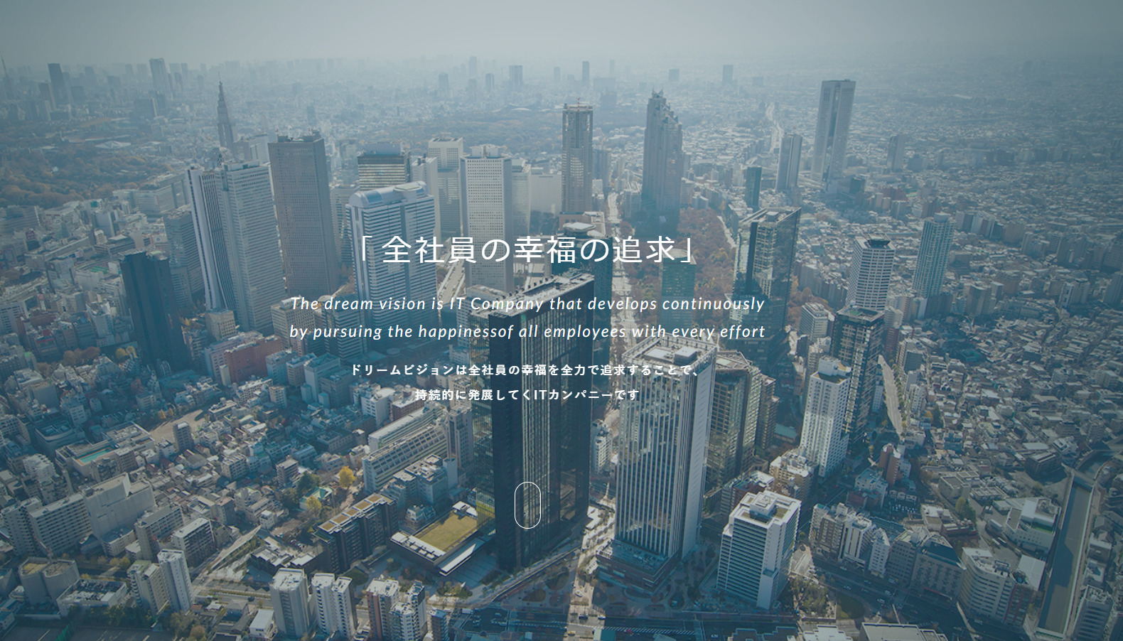 ドリームビジョン株式会社_コーポレート